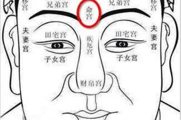 脸上肉少的人：命运与性格的深度解析
