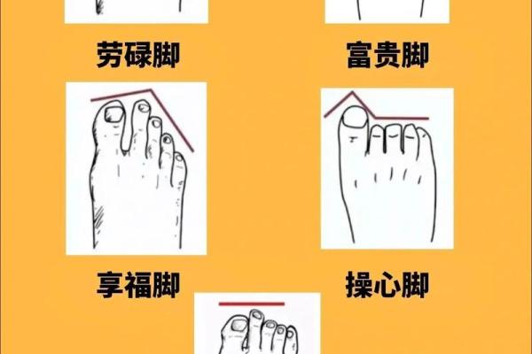 脚的不同形状与命运：揭秘命理学中的脚部象征意义