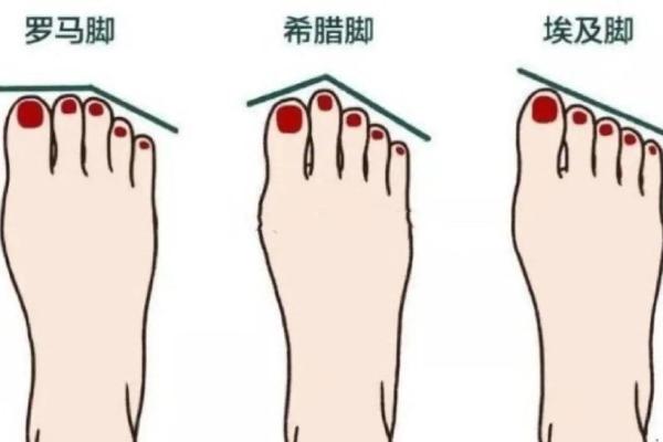 脚的不同形状与命运：揭秘命理学中的脚部象征意义