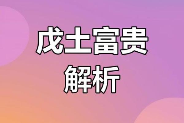 戊土命人的投资之道：寻找稳健增长的机会