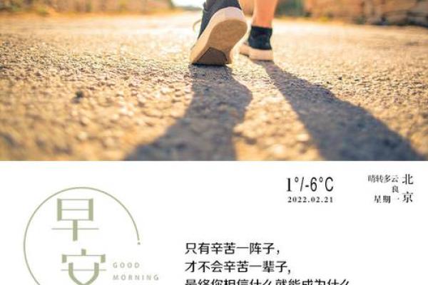 79年2月20日出生的人命运解析：定制未来的钥匙与生活的智慧