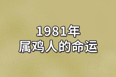 揭开女人玄武命的神秘面纱：她们的命运与性格解析