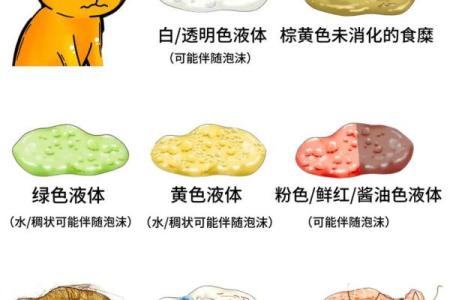 命里缺水的人该如何选择养宠物，避开不适合的品种？