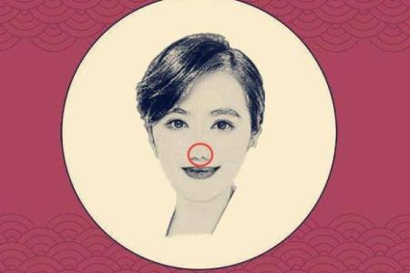 大鼻子的女人：命运与美丽的哲学探讨