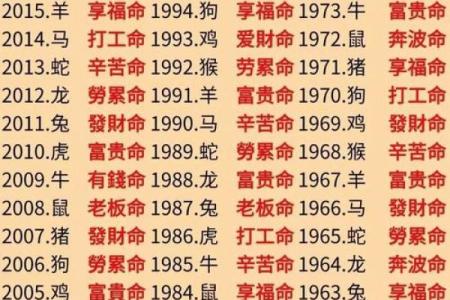 199年出生的人属什么命？揭秘生肖与命运的奥秘！