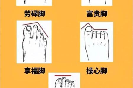 脚的不同形状与命运：揭秘命理学中的脚部象征意义