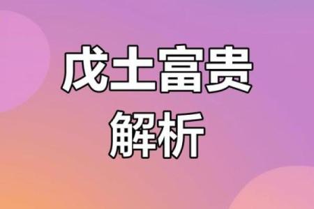 戊土命人的投资之道：寻找稳健增长的机会