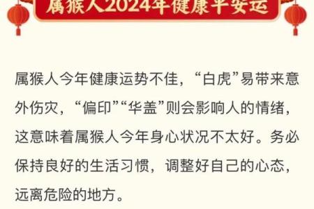 石榴木命的最佳方位及生活中的应用指南