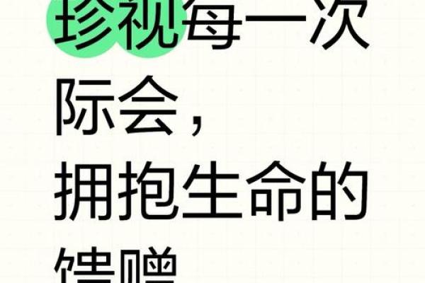坚决一命换一命：探索人性与牺牲的深层意义