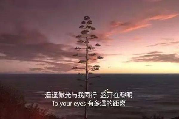 2008年出生的人命运探秘：那些年少无知的星辰与未来的辉煌