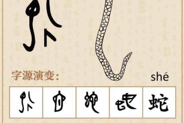 探讨2025年乙巳蛇的命运与性格解析：揭示命理背后的深意