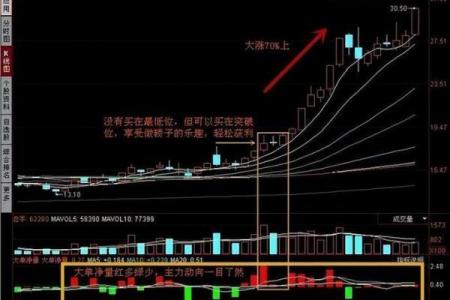 土命人士炒股选股攻略：如何精准把握土属性股票机会