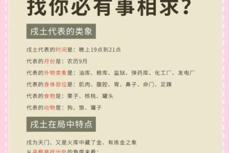 成功者的命理：解读那些走向辉煌的背后秘籍