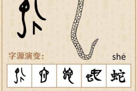 探讨2025年乙巳蛇的命运与性格解析：揭示命理背后的深意