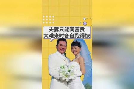 富贵夫妻之命：缘定三生，共享荣华富贵