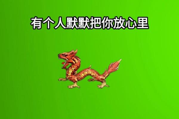 1988年属龙的命运与性格探讨