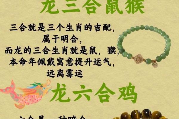 1988年属龙的命运与性格探讨