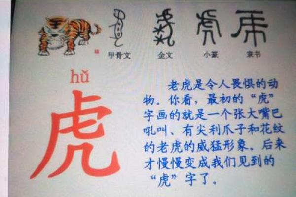 2022年的老虎年：探寻属于虎年的命运与性格特征