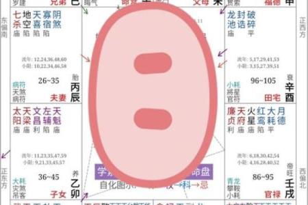 适合学习中文的命盘：揭示五行与语言才能的秘密