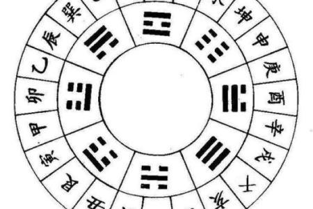 94年出生之人命格分析：探寻命运的密码