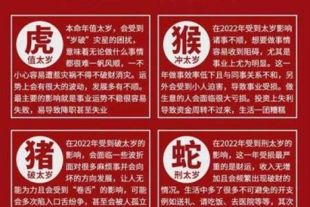 2022年的老虎年：探寻属于虎年的命运与性格特征