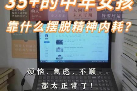 《落命的深意：解读那首动人心弦的歌曲》