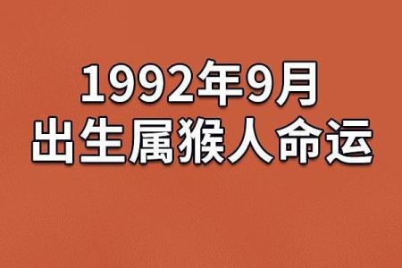 揭秘20088年8月6日出生者的命运与性格特征