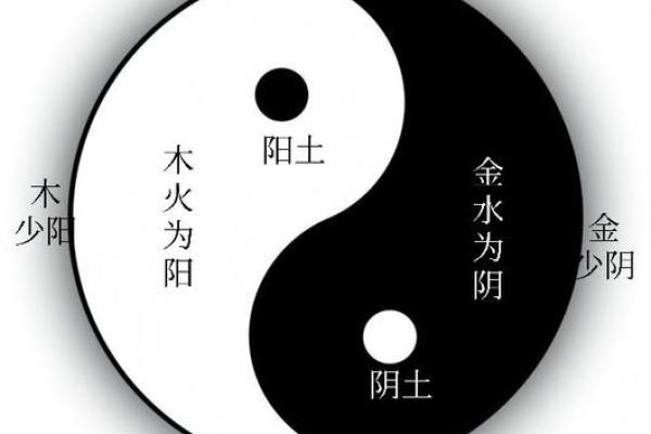 金龙命与五行相克，如何化解命运中的煞气？