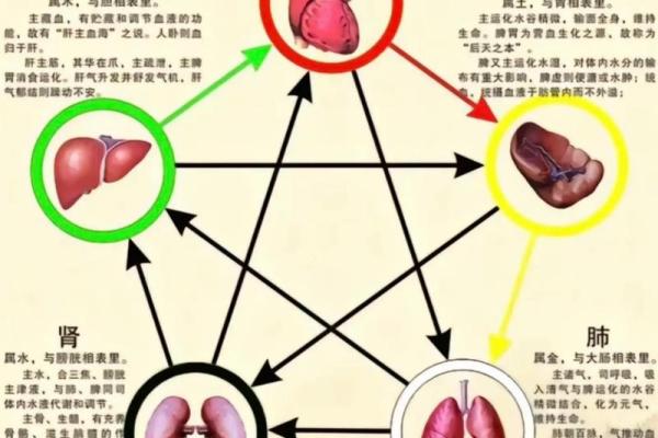 土命之人如何化解五行之困，找到内心的平衡与和谐