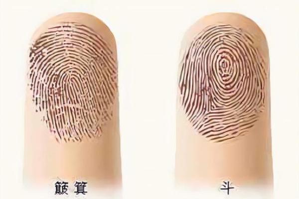 手指长短与命运的秘密：解密你手指的命理寓意