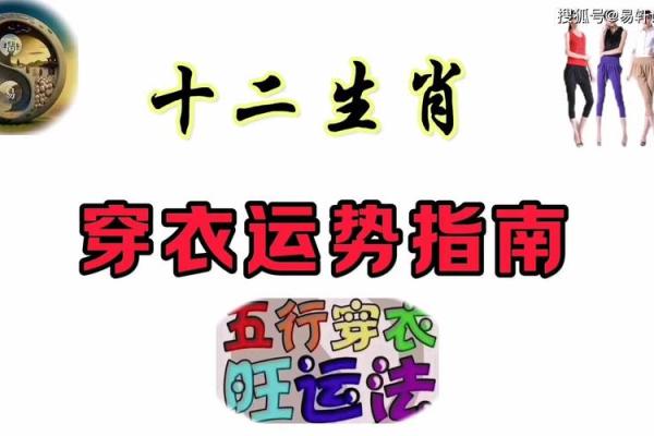 2006年腊月命运分析：探索命理的奥秘与人生的转机