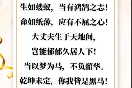 探寻“青山命”：在天地间找到自我价值与生命意义