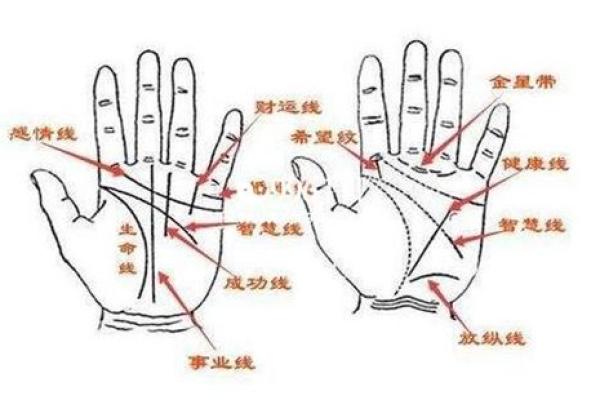 2002年出生的人生运势与性格解析：解读“水马”命的精彩人生