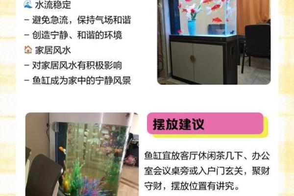 土命人适合用什么鱼缸？助你风水运势提升的选择！