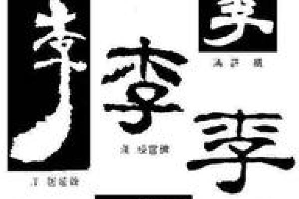 揭秘李姓女孩的命运与性格特征