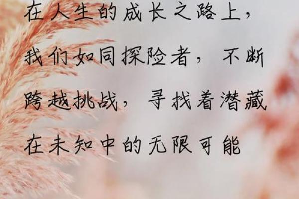 属狗人到51岁，命运的转折与智慧人生的探索