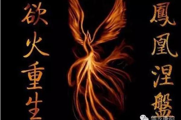 1956年正月二十的命运启示：生命中的转折与重生