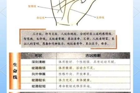 手相揭秘：看懂你的命格，掌握人生转机！