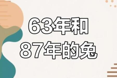 1987年兔年出生：命理与人生的辩证法则
