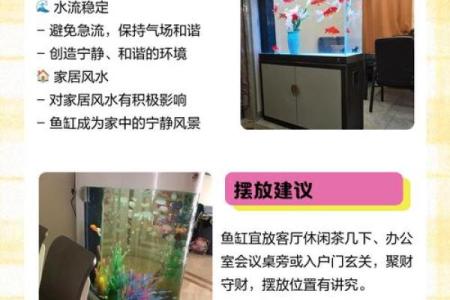 土命人适合用什么鱼缸？助你风水运势提升的选择！