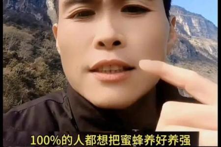 什么命的人特别适合养蜂？揭秘养蜂的最佳人群与技巧！