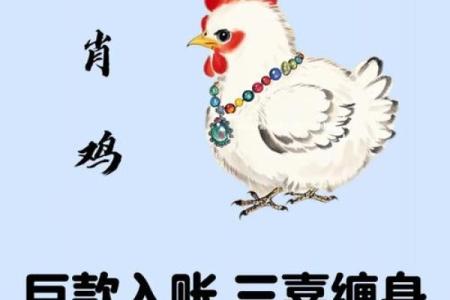 属鸡女人的命运解析：活出精彩人生的秘诀