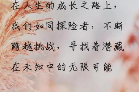 属狗人到51岁，命运的转折与智慧人生的探索