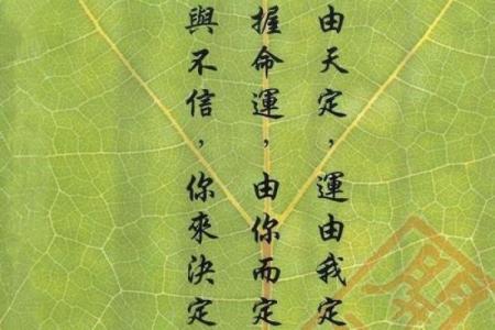 1956年正月二十的命运启示：生命中的转折与重生