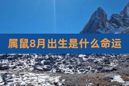 1947年属鼠的人命运：探寻智慧与机遇的结合之道