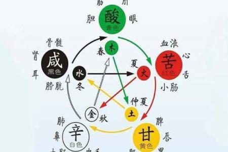 纳金：揭开命理学中的神秘面纱，探索五行与运势的奥秘