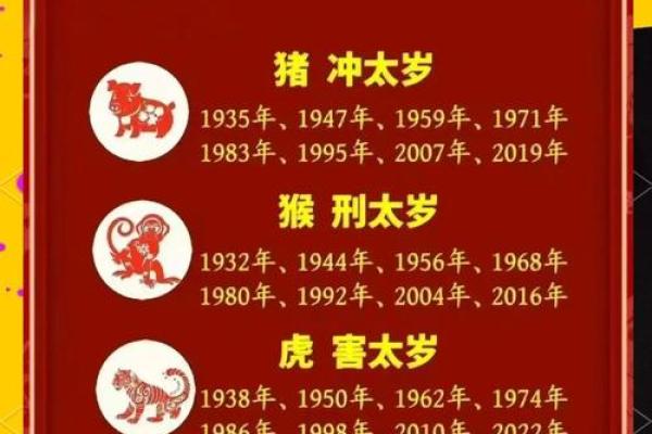 寅时出生的猪：命运解析与生活建议，开启幸福之旅！