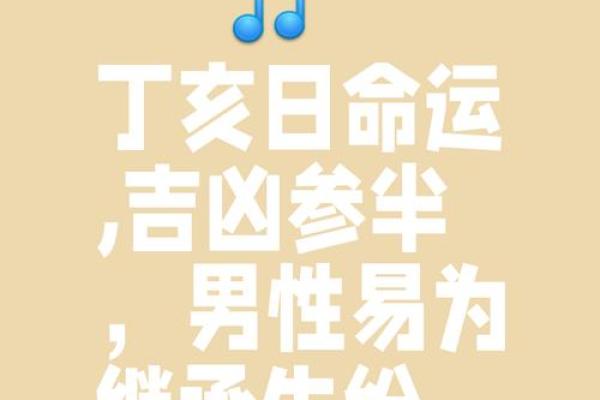 探秘2007年干支命理：解读“丁亥”之命的特质与人生轨迹