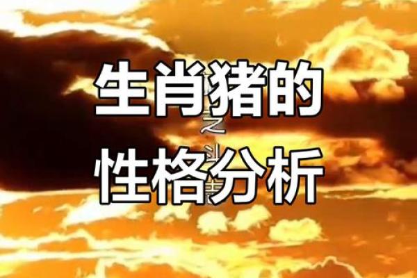 解析1995年属猪的命运与性格特征，揭示人生玄机！