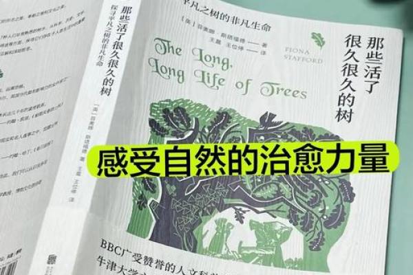 19734年木命解析：命理中的森林之灵与自然之美